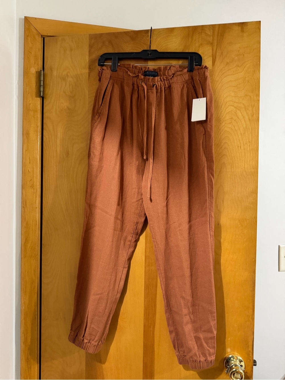 Sanctuary Rust Drawstring Jogger Pants - Picture 2 of 9